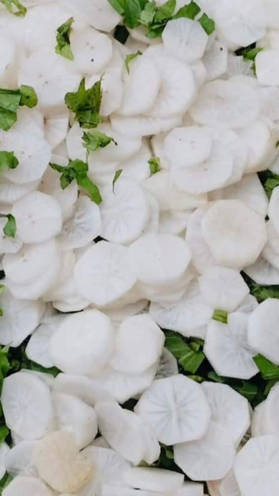 ਮੂਲੀ ਜਾਂ ਗਾਜਰ? ਕੀ ਖਾਣਾ ਜ਼ਿਆਦਾ ਫਾਇਦੇਮੰਦ