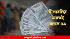 কেন্দ্রীয় সরকারি কর্মীদের জন্য বিরাট সুখবর! একলাফে অনেকটা বাড়ল DA, দীপাবলির আগেই হাতে ৩ মাসের বকেয়াও