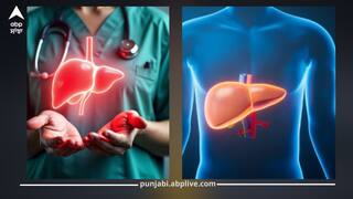 ਫੈਟੀ ਲਿਵਰ ਤੋਂ ਛੁਟਕਾਰਾ! ਡਾਕਟਰ ਦੇ ਦੱਸੇ 3 ਡ੍ਰਿੰਕਸ ਲਿਵਰ ਨੂੰ ਦੇਣਗੇ ਨਵੀਂ ਜ਼ਿੰਦਗੀ! ਮਿਲੇਗਾ ਲਾਭ