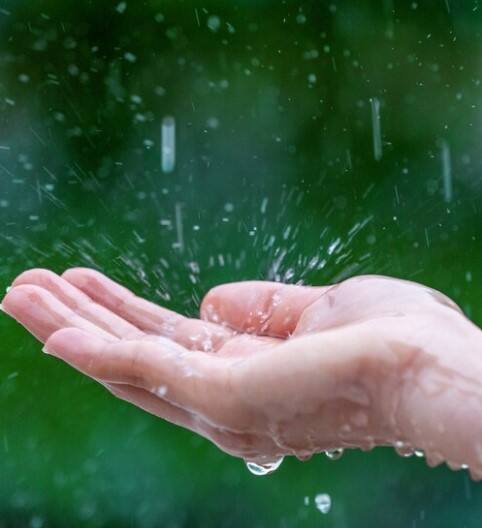 ਗੁਜਰਾਤ ਦੇ ਸੌਰਾਸ਼ਟਰ ਅਤੇ ਕੱਛ ਖੇਤਰਾਂ ਵਿੱਚ 1 ਅਤੇ 2 ਅਕਤੂਬਰ ਨੂੰ ਹਲਕੀ ਤੋਂ ਦਰਮਿਆਨੀ ਬਾਰਿਸ਼ ਹੋ ਸਕਦੀ ਹੈ, ਜਦਕਿ 3 ਅਤੇ 4 ਅਕਤੂਬਰ ਨੂੰ ਭਾਰੀ ਬਾਰਿਸ਼ ਦੇ ਚਾਂਸ ਹਨ। ਇਸੇ ਤਰ੍ਹਾਂ, 3 ਅਤੇ 4 ਅਕਤੂਬਰ ਨੂੰ ਕੋਂਕਣ, ਗੋਆ, ਮੱਧ ਮਹਾਰਾਸ਼ਟਰ ਅਤੇ ਮਰਾਠਵਾੜਾ ਵਿੱਚ ਵੀ ਭਾਰੀ ਬਾਰਿਸ਼ ਹੋਣ ਦੀ ਸੰਭਾਵਨਾ ਹੈ।