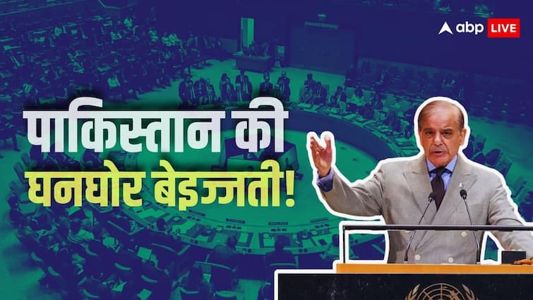 UNGA में शहबाज शरीफ के भाषण के दौरान ऐसा क्या हुआ? PAK की लगी ‘लंका’, UN ने बिठा दी जांच