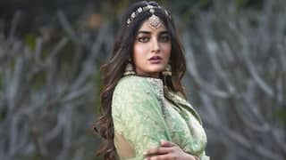 Dimple Hayathi: కుక్క అరిచిందని నగ్నంగా చేసి కొట్టేందుకు యత్నించారు - హీరోయిన్ డింపుల్పై ఫిర్యాదు... కేసు నమోదు