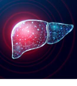 ਡੀਪ ਫ੍ਰਾਈਡ ਖਾਣੇ ਲਿਵਰ ਲਈ ਨੁਕਸਾਨੀ ਹਨ, ਇਸ ਲਈ ਉਹਨਾਂ ਦੀ ਥਾਂ ਅਖਰੋਟ, ਫਲੈਕਸ ਸੀਡਸ ਅਤੇ ਮੱਛੀ ਵਰਤੋਂ। ਇਹਨਾਂ ਵਿੱਚ ਓਮੇਗਾ-3 ਹੁੰਦਾ ਹੈ ਜੋ ਲਿਵਰ ਨੂੰ ਸਿਹਤਮੰਦ ਰੱਖਦਾ ਹੈ। ਲੱਸਣ ਅਤੇ ਪਿਆਜ਼ ਲਿਵਰ ਦੀ ਸਫਾਈ ਕਰਦੇ ਹਨ ਤੇ ਫੈਟ ਨਹੀਂ ਜੰਮਣ ਦਿੰਦੇ।