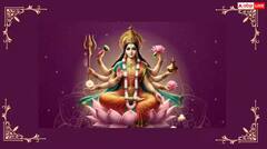 ਸ਼ਾਰਦੀਆ ਨਰਾਤੇ ਦੇ ਨੌਵੇਂ ਦਿਨ ਜ਼ਰੂਰ ਪੜ੍ਹੋ ਮਾਤਾ ਸਿੱਧੀਦਾਤਰੀ ਦੀ ਕਥਾ, ਸਾਰੇ ਕਾਰਜ ਹੋਣਗੇ ਪੂਰੇ