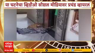 Udaypur Leopard : घरात घुसलेल्या बिबट्याला महिलेनं चक्क दोरीने बांधले