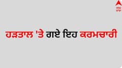 ਪੰਜਾਬ 'ਚ ਹੜਤਾਲ 'ਤੇ ਉਤਰੇ ਇਹ ਕਰਮਚਾਰੀ, ਤਿੰਨ-ਤਿੰਨ ਮਹੀਨਿਆਂ ਬਾਅਦ ਮਿਲਦੀ ਤਨਖਾਹ! ਬੋਲੇ- ਮੰਗਾਂ ਪੂਰੀਆਂ ਨਹੀਂ ਕੀਤੀਆਂ ਤਾਂ...