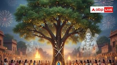 Shardiya Navratri 2025: नवरात्रि और दशहरा में शमी पत्तियों का महत्व! जानें इसका आदान-प्रदान करना क्यों हैं शुभ?