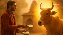 पहली रोटी क्यों होती है गाय के नाम? जानिए भूत यज्ञ से जुड़ा रहस्य