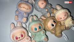 Labubu Doll को घर में रखना चाहिए या नहीं? वास्तु के नियमों से जानें रहस्य