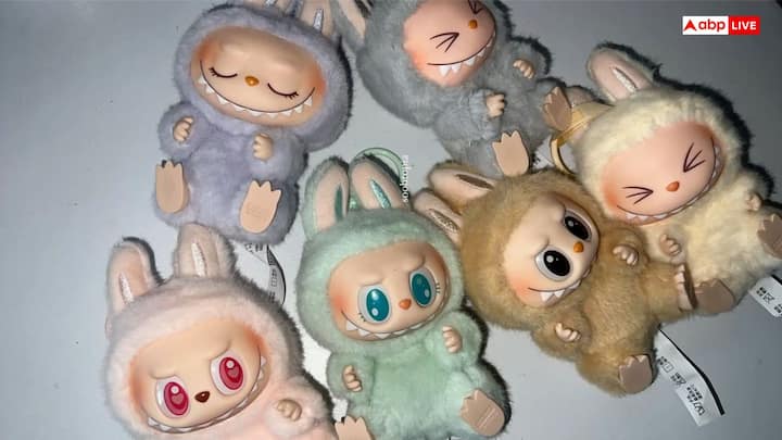 Labubu Doll: వాస్తు ప్రకారం కొన్ని వస్తువులు ఇంట్లో ఉంచకూడదు. నియమాలు పాటించకపోతే, ప్రతికూల శక్తి వస్తుంది.