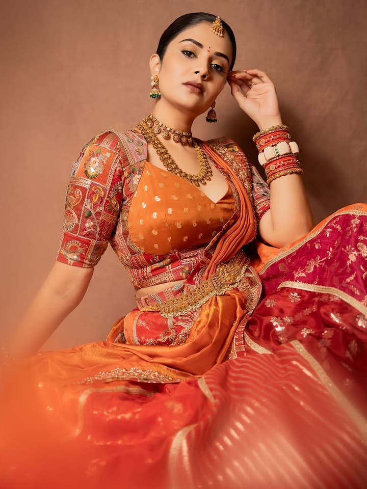 फिल्मों में आने से पहले श्रीमुखी ने टीवी शो की मेजबानी करके अपना करियर शुरू किया और गायन शो सुपर सिंगर 9 की भी मेजबानी की।
