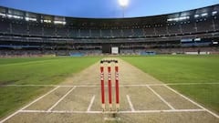 Cricket Pitch GK: 22 ગજનું જ કેમ હોય છે ક્રિકેટનું મેદાન, આનાથી નાનુ કે મોટુ કેમ નથી હોતું ?