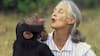 Remembering Jane Goodall, Primate Pioneer Who Brought The World Closer To Chimpanzees