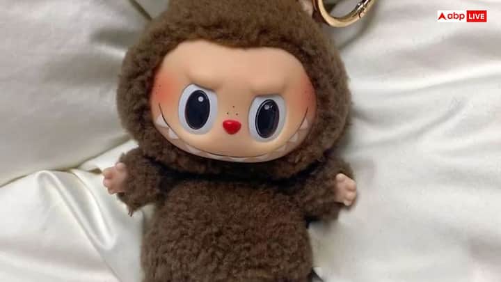 Depending on personal belief: Labubu Doll is to keep it at home or not, depending on your personal perception and belief. If you consider it auspicious, you can keep it in the house. But if you feel that it can have a negative effect, then it would be better to keep it away from home.