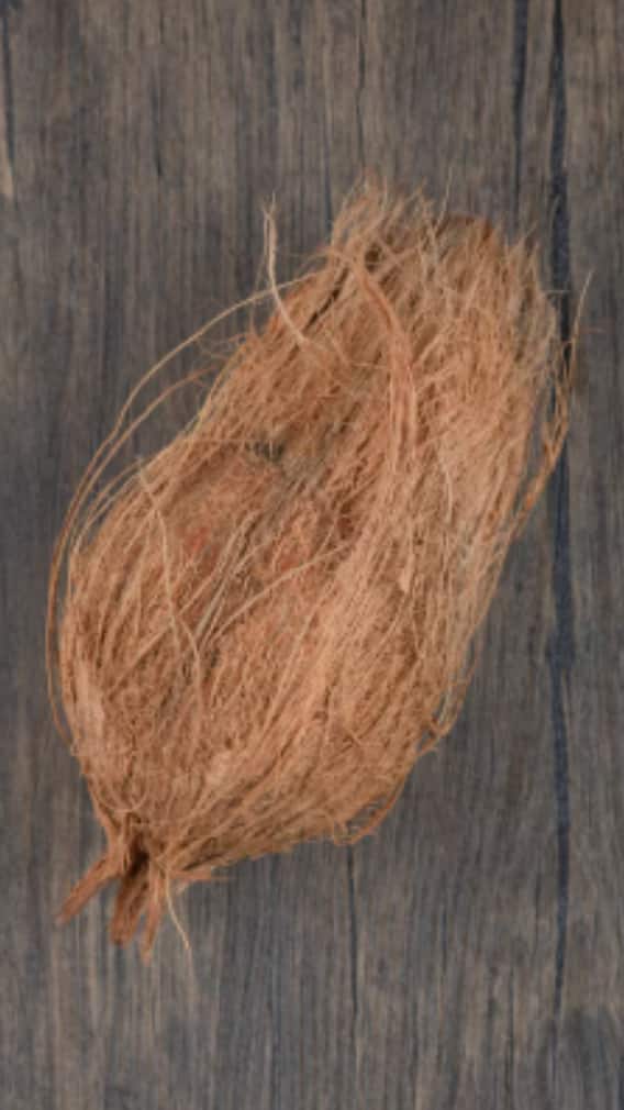 নারকেল ছোবড়া এত কার্যকরী?