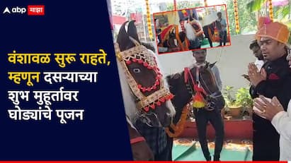 अश्वांची पूजन केल्याने वंशावळ सुरू राहते व लक्ष्मी प्रसन्न राहते अशी आख्यायिका आहे, म्हणत जळगावमध्ये एका कुटुंबीयांनी चक्क अश्वांचे पूजन करुन दसरा साजरा केला.
