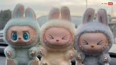 Labubu Doll को घर में रखना चाहिए या नहीं? वास्तु के नियमों से जानें रहस्य