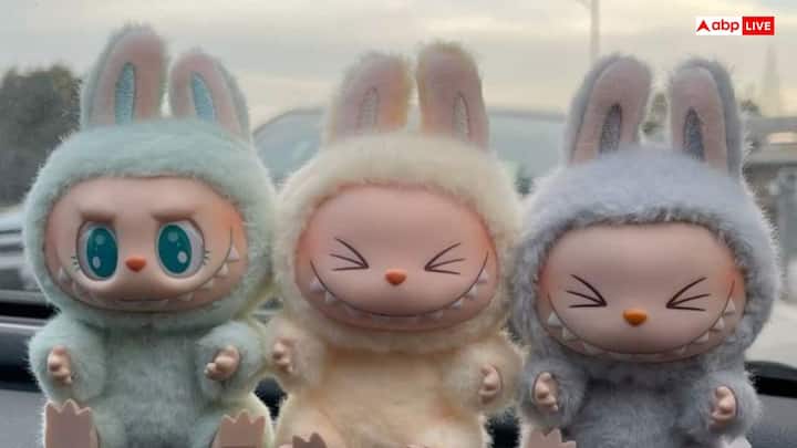 లబూబూ (Labubu) చైనీస్ బొమ్మ.. దీనికి కుందేలు లాంటి చెవులు, పెద్ద కళ్లు, పదునైన పళ్లు ఉంటాయి. ఈ బొమ్మలు 'బ్లైండ్ బాక్స్‌'లలో వస్తాయి.   బాక్స్ తెరిచినప్పుడే బొమ్మ ఏ రంగులో, ఏ డిజైన్‌లో ఉంటుందో తెలుస్తుంది. ఈ 