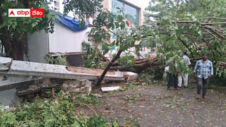 North Andhra Flash Floods: ఉత్తరాంధ్ర జిల్లాలకు ఫ్లాష్ ఫ్లడ్స్ ప్రమాదం - అప్రమత్తమయిన  ప్రభుత్వం