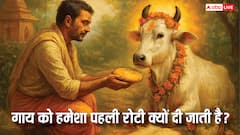 पहली रोटी क्यों होती है गाय के नाम? जानिए भूत यज्ञ से जुड़ा रहस्य