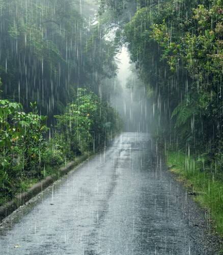 ਉੱਥੇ ਹੀ 4 ਅਕਤੂਬਰ ਤੋਂ ਨਵਾਂ ਵੈਸਟਨ ਡਿਸਟਰਬਨ ਸਰਗਰਮ ਹੋਵੇਗਾ, ਜਿਸ ਕਰਕੇ 4, 5 ਅਤੇ 6 ਅਕਤੂਬਰ ਨੂੰ ਪੰਜਾਬ ਦੇ ਵੱਖ-ਵੱਖ ਜ਼ਿਲ੍ਹਿਆਂ ਵਿਚ ਭਾਰੀ ਬਾਰਿਸ਼ ਪੈਣ ਦੀ ਸੰਭਾਵਨਾ ਹੈ। ਖ਼ਾਸ ਕਰਕੇ 5 ਅਤੇ 6 ਅਕਤੂਬਰ ਨੂੰ ਜ਼ਿਆਦਾਤਰ ਇਲਾਕਿਆਂ ਵਿਚ ਮੀਂਹ ਦੇ ਨਾਲ 30 ਤੋਂ 40 ਕਿ.ਮੀ. ਪ੍ਰਤੀ ਘੰਟੇ ਦੀ ਰਫ਼ਤਾਰ ਨਾਲ ਤੇਜ਼ ਹਵਾਵਾਂ ਵੀ ਚੱਲ ਸਕਦੀਆਂ ਹਨ।