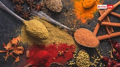 हल्दी से काली मिर्च तक, दुनियाभर के किचन में कैसे छा गए भारतीय मसाले?