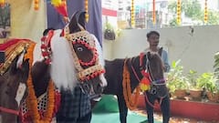 अश्वदेवं... वंशावळ सुरू राहते, म्हणत दसऱ्याच्या मुहूर्तावर घोड्यांचे पूजन; चर्चा तर होणारच