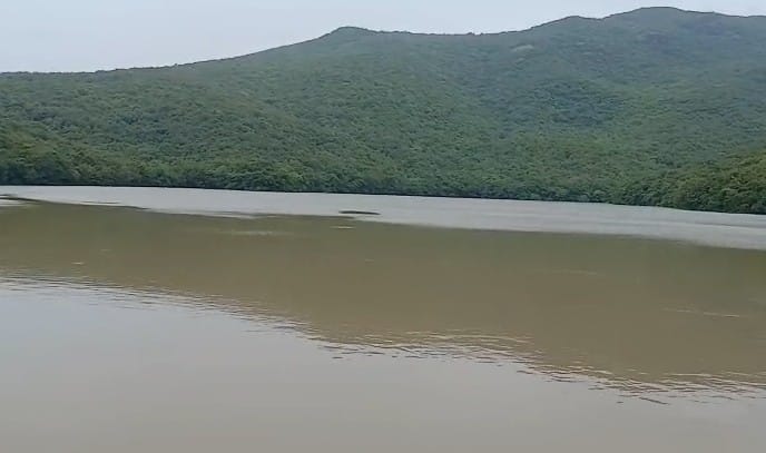 વિસાવદરમાં વીજળીના કડાકા ભડાકા સાથે વરસાદ વરસ્યો  હતો.  ગાજવીજ સાથે વરસેલા વરસાદથી જેતલવડ ગામે વીજળી પડતા ખેતરમાં પડેલ ટ્રેક્ટર બળીને રાખ  થયું હતું.
