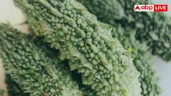 Bitter Melon Leaves: लिवर को करना चाहते हैं एकदम हेल्दी, इस कड़वी सब्जी की पत्तियां आज ही डाइट में कर लें शामिल
