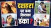 'कांतारा चैप्टर 1' से 'सनी संस्कारी...' तक हुईं रिलीज, दशहरा पर किस फिल्म ने कमाए कितने नोट