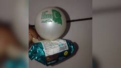 Pakistani Flag Balloons Found In Rajasthan; Police Investigate MP Link