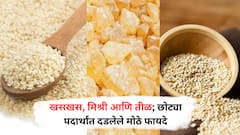 Power of Superfoods: खसखस, मिश्री आणि पांढरे तीळ , छोट्या पदार्थांत दडलेत मोठे फायदे; जाणून घ्या!