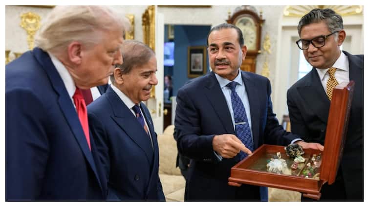 <div>'What A Joke': Pak Senator Slams Asim Munir For Rare Earth Minerals Pic With Trump</div>
