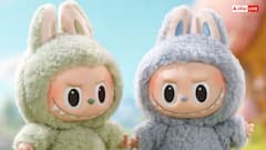 Labubu Doll को घर में रखना चाहिए या नहीं? वास्तु के नियमों से जानें रहस्य