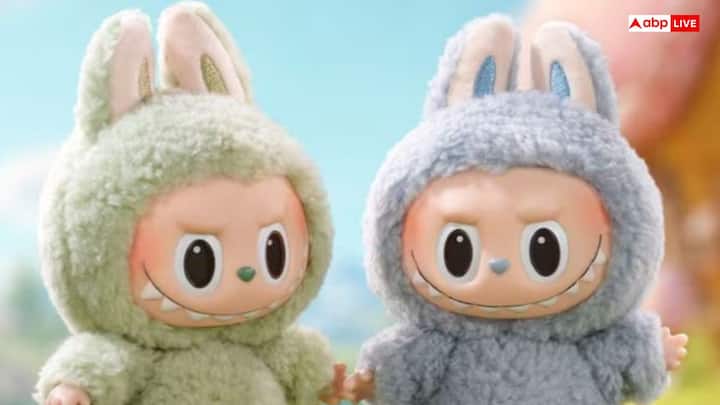 దీని విచిత్రమైన ఆకృతి  ఆకర్షణీయమైన డిజైన్ దీనిని స్టేటస్ సింబల్ గా మార్చింది. అయితే, దీని గురించి భిన్నమైన అభిప్రాయాలు ఉన్నాయి. కొంతమంది దీనిని ఇంట్లో ఉంచుకోవడం శుభప్రదమని భావిస్తే, మరికొందరు అశుభమని భావిస్తారు. దీనిపై చర్చ ఇంకా కొనసాగుతోంది.