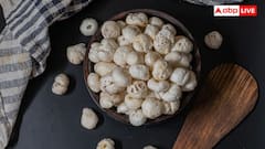 India Global Trade: मखाने से लेकर ब्रह्मोस तक, जानें दुनिया को क्या-क्या बेचता है भारत?