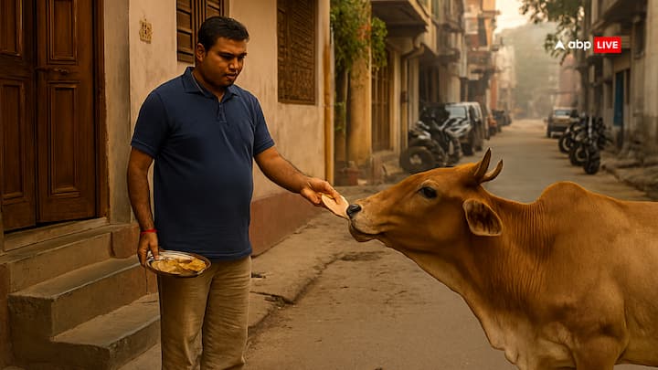 सनातन धर्म में गाय को माता के रूप में पूजा जाता है. ऐसा इसलिए क्योंकि गाय में 33 कोटि के देवी-देवताओं का वास है. अक्सर रोटी बनाते समय पहली रोटी गाय के लिए होती है. आपने कभी जानना चाह इसके पीछे का क्या महत्व है?आइए जानते हैं.