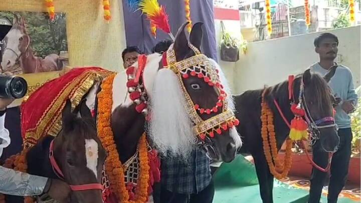 अश्वांची पूजन केल्याने वंशावळ सुरू राहते व लक्ष्मी प्रसन्न राहते अशी आख्यायिका आहे, म्हणत जळगावमध्ये एका कुटुंबीयांनी चक्क अश्वांचे पूजन करुन दसरा साजरा केला.