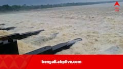 ভারী থেকে অতি ভারী বৃষ্টির পূর্বাভাস, তার মধ্যেই আরও জল ছাড়ল DVC, বানভাসি হতে পারে একাধিক জেলা