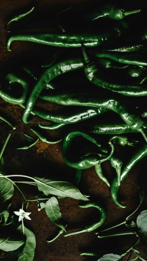 ਹਰੀ ਮਿਰਚ ਕੱਟਣ ਤੋਂ ਬਾਅਦ ਹੱਥਾਂ ‘ਚ ਪੈਂਦਾ ਸਾੜ, ਤਾਂ ਇਦਾਂ ਕਰੋ ਦੂਰ