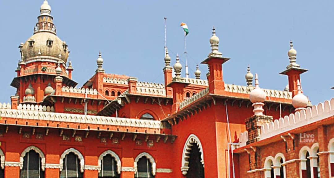 ‘राजमार्गों पर रैलियां तब तक नहीं होंगी जब तक…’, करूर भगदड़ के बाद मद्रास HC का बड़ा आदेश