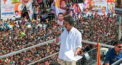 Karur Stampede: हाईकोर्ट ने TVK नेताओं पर कड़ी टिप्पणी की, विजय को बताया भगोड़ा