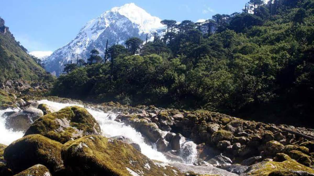 (Image Source: Twitter/@DrShobha)