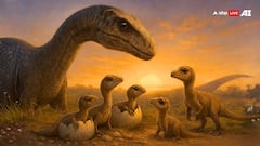 167 मिलियन साल पहले ये था धरती का सबसे बड़ा शिकारी, डायनासोर के बच्चों को भी मारकर चबा जाता था