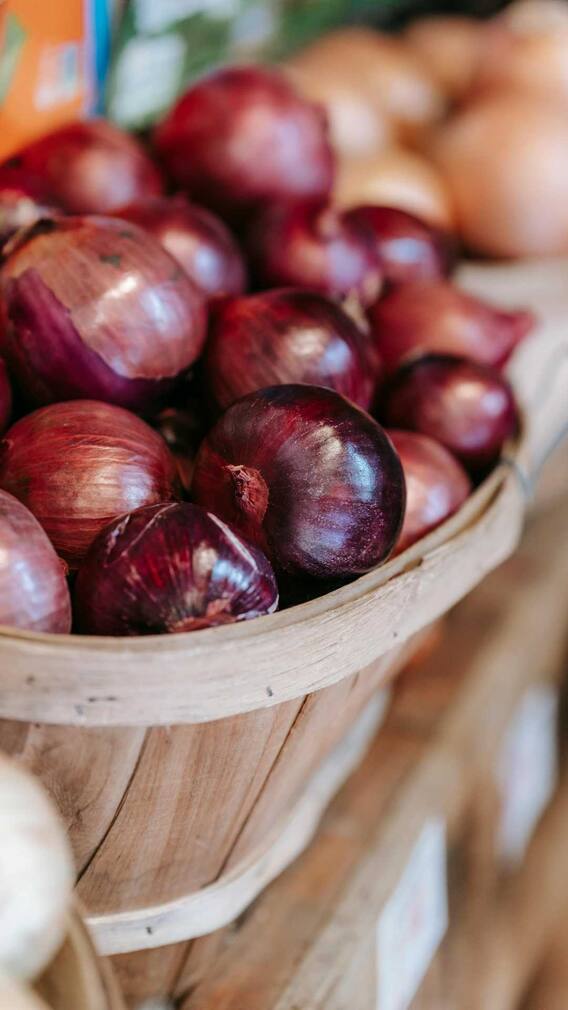 ડુંગળીનું સેવન કરતા આ ફેક્ટસ જાણી લો