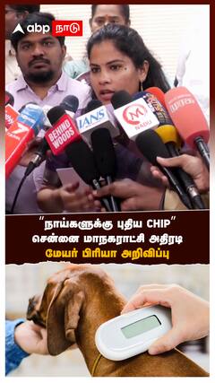 ’’நாய்களுக்கு புதிய CHIP’’ மேயர் பிரியா அறிவிப்பு