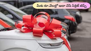 Diwali Car Buying Tips: దీపావళి ఆఫర్లలో కొత్త కారు కొనుగోలు గైడ్ - మీకు వేల రూపాయలు సేవ్ చేసే సీక్రెట్ టిప్స్