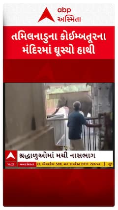 Elephant Enters Coimbatore Temple: તમિલનાડુના કોઈમ્બતૂરના મંદિરમાં ઘૂસ્યો હાથી, શ્રદ્ધાળુઓમાં મચી નાસભાગ