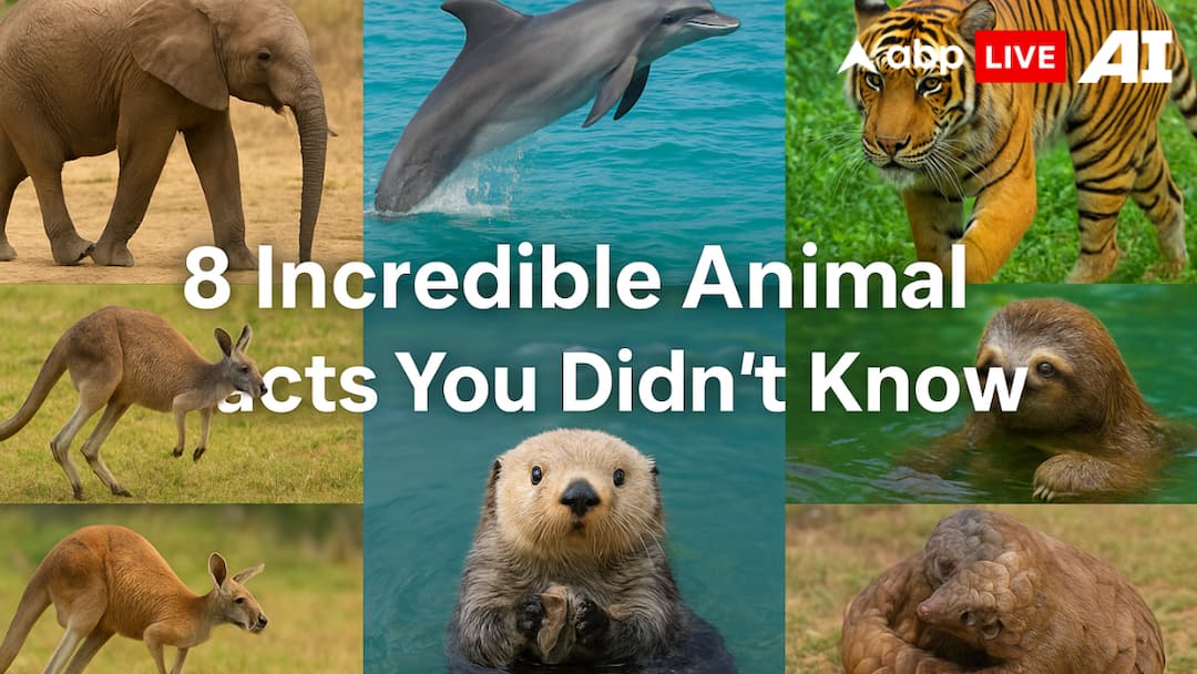 8 Surprising Animal Facts That Will Blow Your Mind 8 Surprising Animal Facts That Will Blow Your Mind