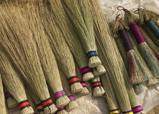 हिंदू धर्मात झाडूला देवी लक्ष्मीचे प्रतीक मानले जाते. वास्तुशास्त्रातही याच्याशी संबंधित अनेक नियम सांगितले आहेत. या नियमांकडे दुर्लक्ष केल्यास घरात गरिबी आणि दुर्दैव येऊ शकते.